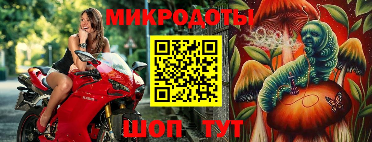 Псилоцибиновые грибы Psilocybe Гурьевск