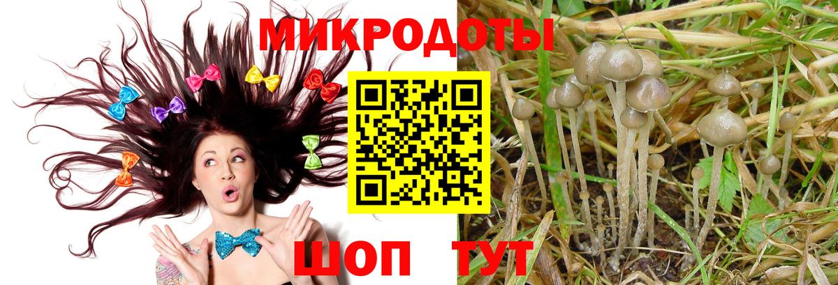 Гурьевск  Галлюциногенные грибы Cubensis  Вход с VPN  Галлюциногенные грибы мицелий 